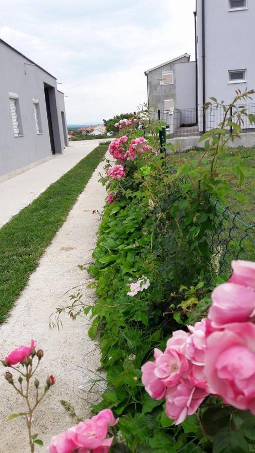Apartments With A Parking Space Nin, Zadar - 13571 外观 照片